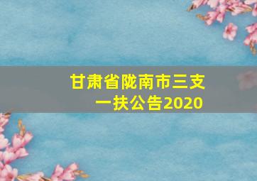 甘肃省陇南市三支一扶公告2020