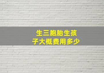 生三胞胎生孩子大概费用多少