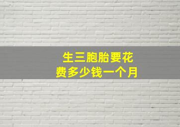 生三胞胎要花费多少钱一个月