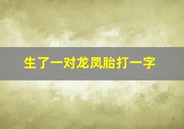 生了一对龙凤胎打一字