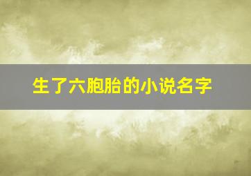 生了六胞胎的小说名字