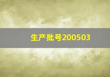 生产批号200503