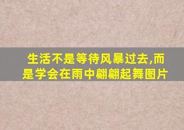 生活不是等待风暴过去,而是学会在雨中翩翩起舞图片