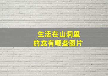 生活在山洞里的龙有哪些图片