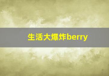 生活大爆炸berry