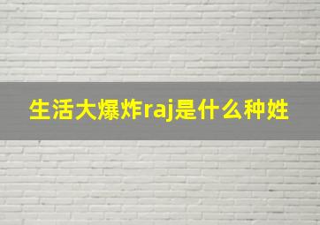 生活大爆炸raj是什么种姓