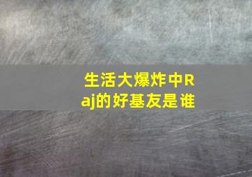 生活大爆炸中Raj的好基友是谁