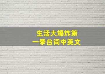 生活大爆炸第一季台词中英文