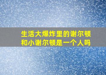 生活大爆炸里的谢尔顿和小谢尔顿是一个人吗