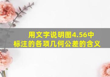 用文字说明图4.56中标注的各项几何公差的含义