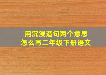 用沉浸造句两个意思怎么写二年级下册语文