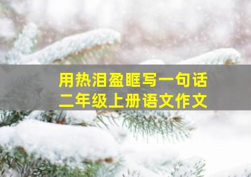 用热泪盈眶写一句话二年级上册语文作文