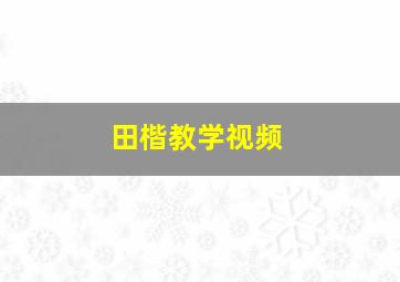 田楷教学视频