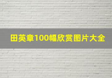 田英章100幅欣赏图片大全