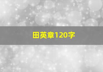 田英章120字