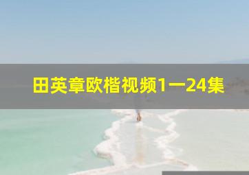 田英章欧楷视频1一24集