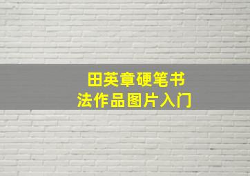 田英章硬笔书法作品图片入门