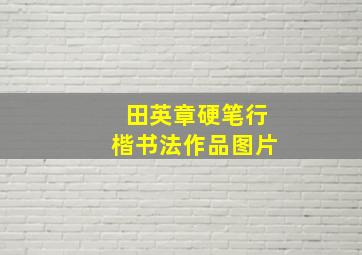 田英章硬笔行楷书法作品图片