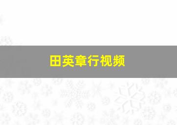 田英章行视频