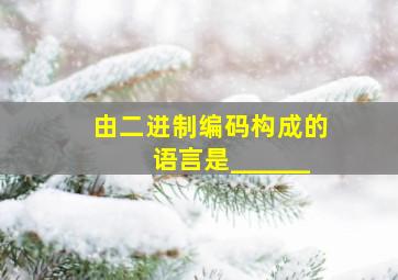 由二进制编码构成的语言是______