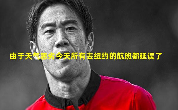 由于天气恶劣今天所有去纽约的航班都延误了