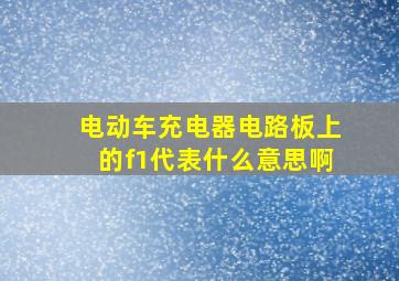 电动车充电器电路板上的f1代表什么意思啊