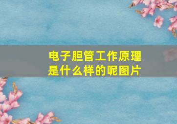 电子胆管工作原理是什么样的呢图片