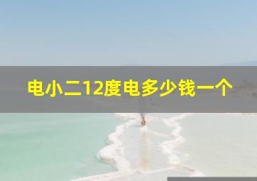 电小二12度电多少钱一个