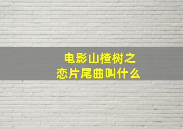 电影山楂树之恋片尾曲叫什么