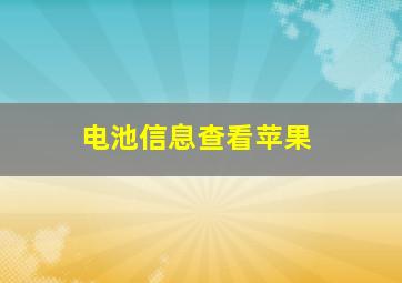 电池信息查看苹果