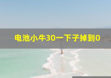 电池小牛30一下子掉到0