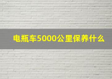 电瓶车5000公里保养什么