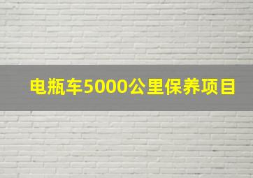 电瓶车5000公里保养项目