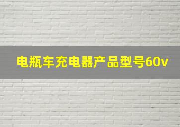 电瓶车充电器产品型号60v