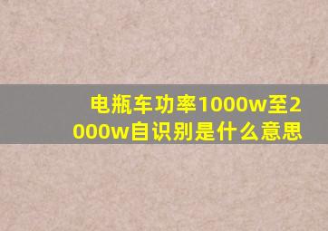 电瓶车功率1000w至2000w自识别是什么意思