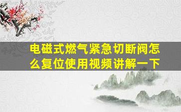 电磁式燃气紧急切断阀怎么复位使用视频讲解一下