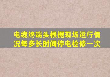 电缆终端头根据现场运行情况每多长时间停电检修一次