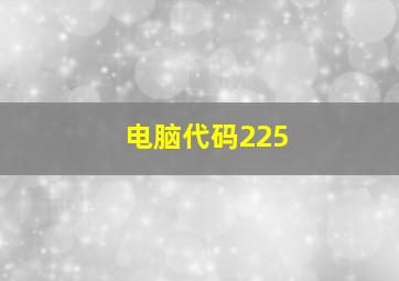 电脑代码225