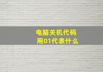 电脑关机代码用01代表什么