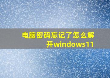 电脑密码忘记了怎么解开windows11