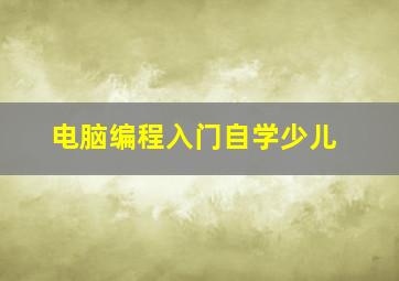 电脑编程入门自学少儿