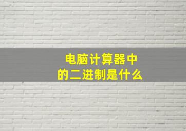 电脑计算器中的二进制是什么