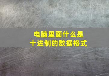 电脑里面什么是十进制的数据格式