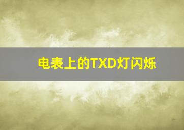 电表上的TXD灯闪烁