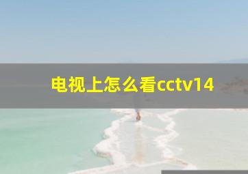 电视上怎么看cctv14