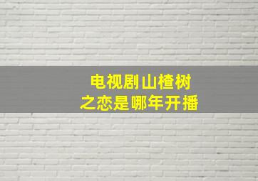 电视剧山楂树之恋是哪年开播