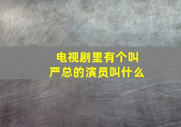 电视剧里有个叫严总的演员叫什么