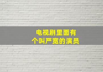 电视剧里面有个叫严宽的演员