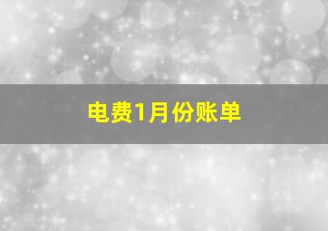 电费1月份账单