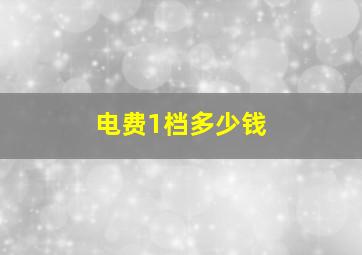 电费1档多少钱